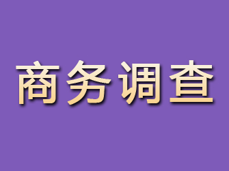 泉港商务调查